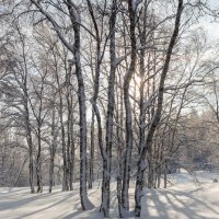 Зимнее солнце :: Евгений Тарасов 