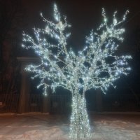Светящееся дерево :: Сапсан 