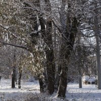 Зимушка-зима :: Рита Симонова
