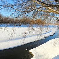 Незамёрзший участок реки :: Андрей Снегерёв