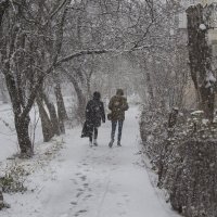 Зимняя прогулка :: Светлана Тихонина