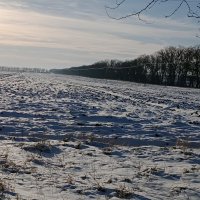 Природа зима Кубани :: вячеслав коломойцев