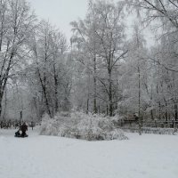 В парке зимой :: Вера Щукина