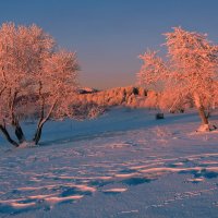 winter sunrise :: Elena Wymann