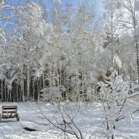 зима :: Володя Коваленко