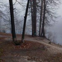 Туман на пруду :: Лидия (naum.lidiya)