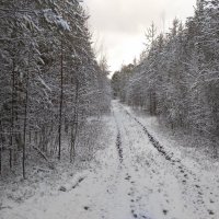 Зимняя дорога :: Сергей Никифоров