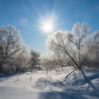 Зимним,солнечным днём в Ратмино. :: Виктор Евстратов