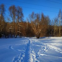 В Москве - настоящая зима :: Андрей Лукьянов