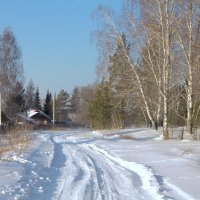 Зимняя дорога :: Александр Обливальный