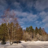 "Солнечный день после снегопада"© :: Владимир Макаров