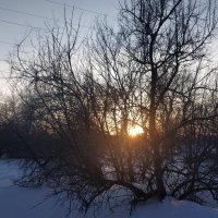Январское Солнце :: Андрей Хлопонин