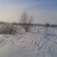 Зимняя дорога. :: сергей 