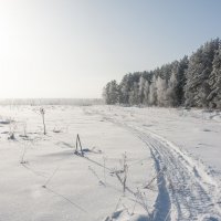 По дороге к Солнцу :: Валерий Иванович