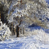 Зима :: Рамиль Фаттахов