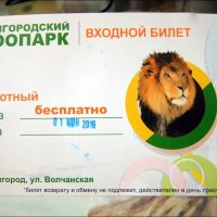 На открытие Зоопарка :: Сеня Белгородский