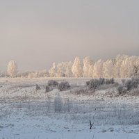 Хрустальное утро. :: Вадим Басов