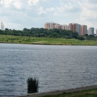 Москва-река :: Мария Васильева