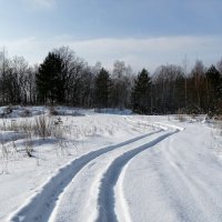 Машинный след на берег Днепра. :: Милешкин Владимир Алексеевич 