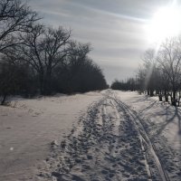 Солнечная зимняя дорога :: Андрей Хлопонин