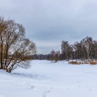 Хмурый день на берегу отводного канала. :: Анатолий. Chesnavik.