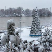 Елка на Рождественской набережной :: Алексей Меринов