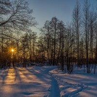 Зимушка-зима # 11 :: Андрей Дворников