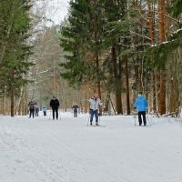 Все на лыжи! :: Милешкин Владимир Алексеевич 
