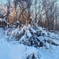 Под белым покрывалом февраля! :: Елена Хайдукова  ( Elena Fly )