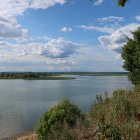 река Щука :: Дмитрий И_