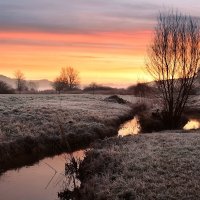 winter morning :: Elena Wymann