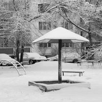 Грибок, снежок :: Татьяна 