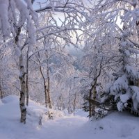 Вниз по тропинке... :: Галина Ильясова