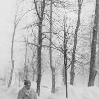 В снегу :: Владимир Машевский