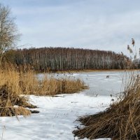 Зима - февраль. :: Милешкин Владимир Алексеевич 