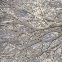 Cнежной зимой :: Елена Семигина