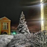 После снегопада... :: Алексей Архипов