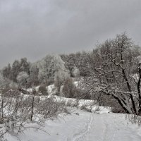 зимними тропами :: Валентина. .