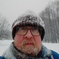 Можно ли меня напугать снегопадом? :: Андрей Лукьянов