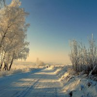 Через снежную сказку проходит дорога. :: nadyasilyuk Вознюк