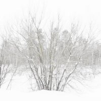 Летает мелкий снежок :: Raduzka (Надежда Веркина)