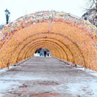 Светодиодный арочный тоннель. :: Татьяна Помогалова