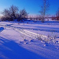 Снегоходные пути-дороги на левобережье Юганской Оби. :: Владимир 