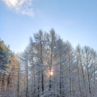 Зима :: Ирина Полунина