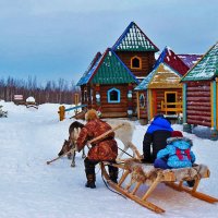 Январь...Детские катання  на оленях! :: Владимир 