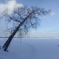 Зимний пейзаж :: Анна Суханова