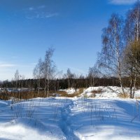 Ещё в лесу белеет снег. :: Милешкин Владимир Алексеевич 