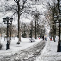 Первый снег... и это в феврале... :: Роман Савоцкий