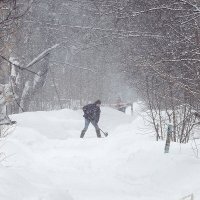 Снегопад :: Леонид leo