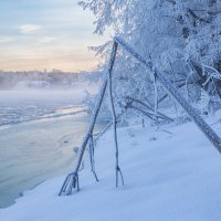 Мороз :: Алексей 